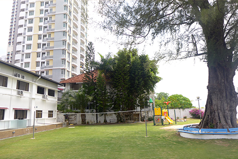 Garden & Patio